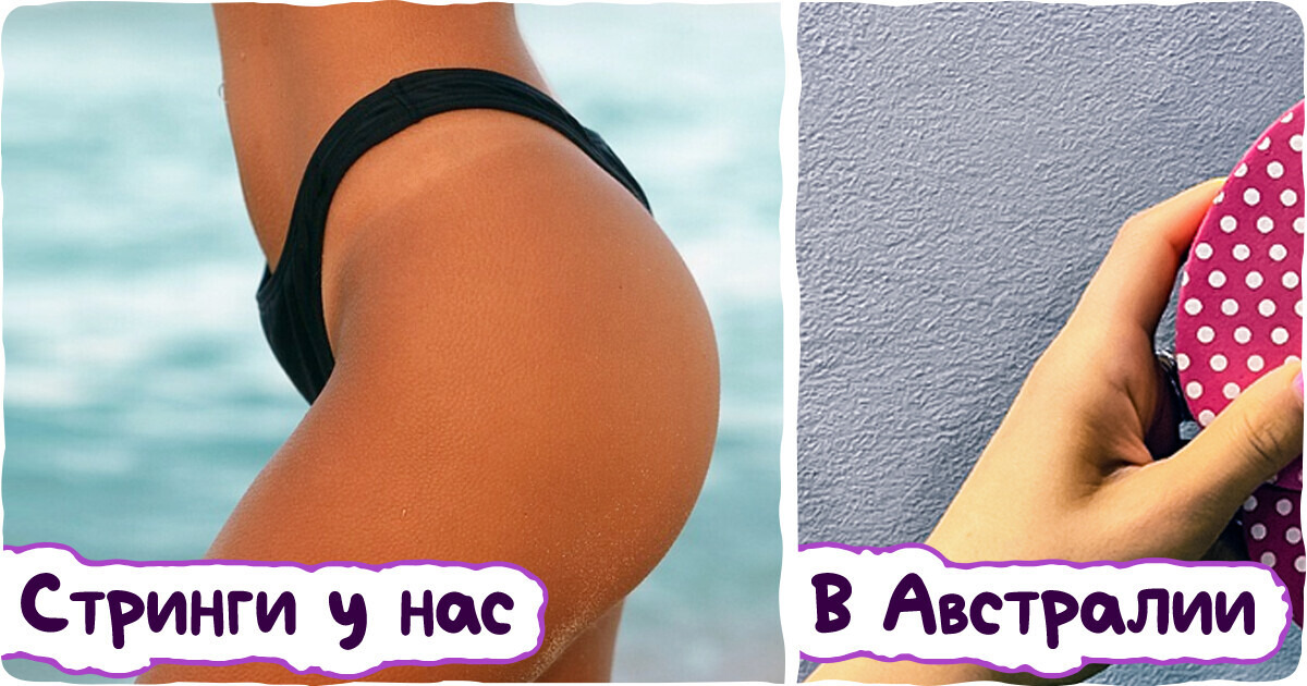 15 особенностей жизни в Австралии, которые доказывают, что там есть вещи и постраннее утконоса 15 особенностей жизни в Австралии, которые доказывают, что там есть вещи и постраннее утконоса