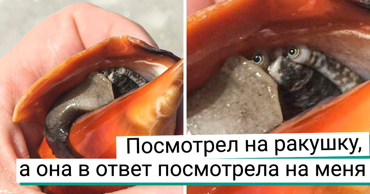 19 доказательств того, что мы живем на уникальной планете