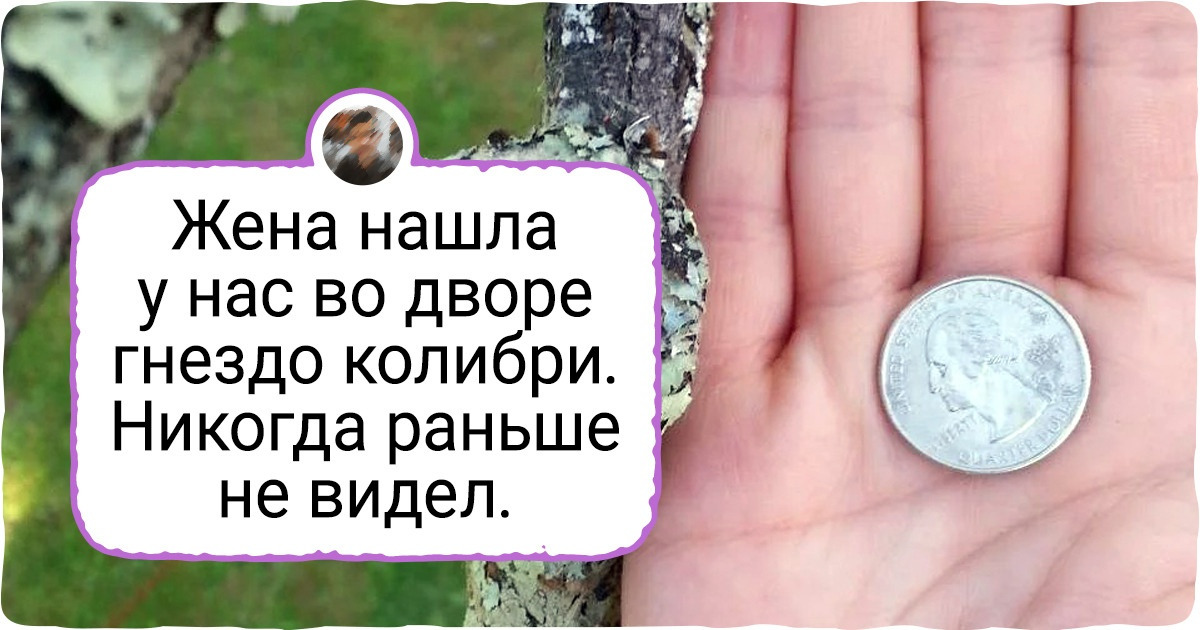 16 фотографий, которые прольют свет на вещи, о которых все мы знали, но точно не задумывались всерьез