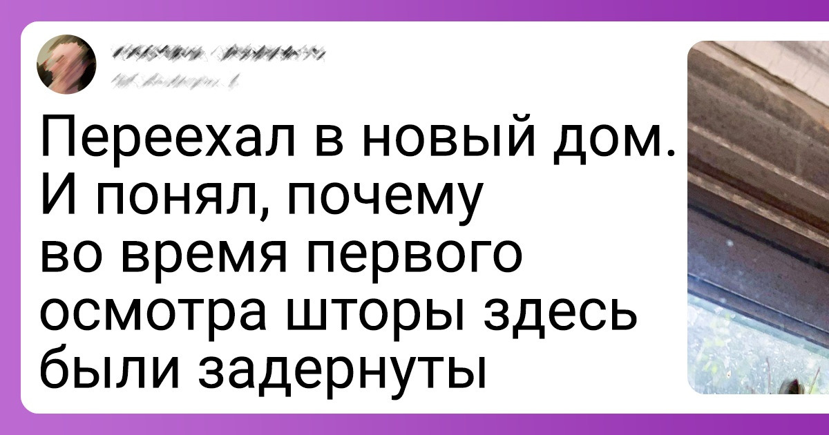 15 человек, которые арендовали квартиру и теперь до конца дней будут заикаться и нервно моргать