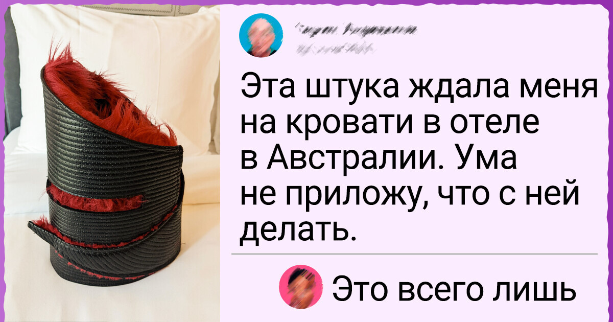 15 постояльцев отелей, которые хотели просто снять номер, а получили массу новых впечатлений