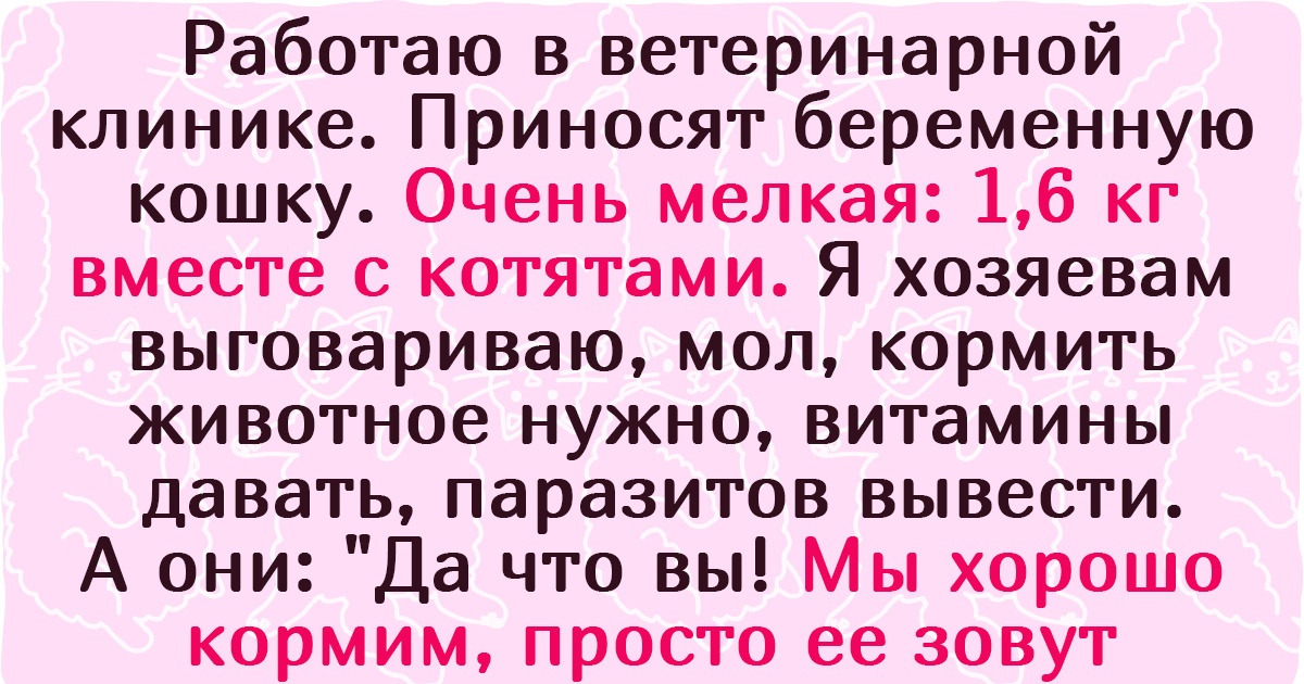 10+ хозяев, которые долго ломали голову, но придумали питомцу неповторимую кличку 10+ хозяев, которые долго ломали голову, но придумали питомцу неповторимую кличку