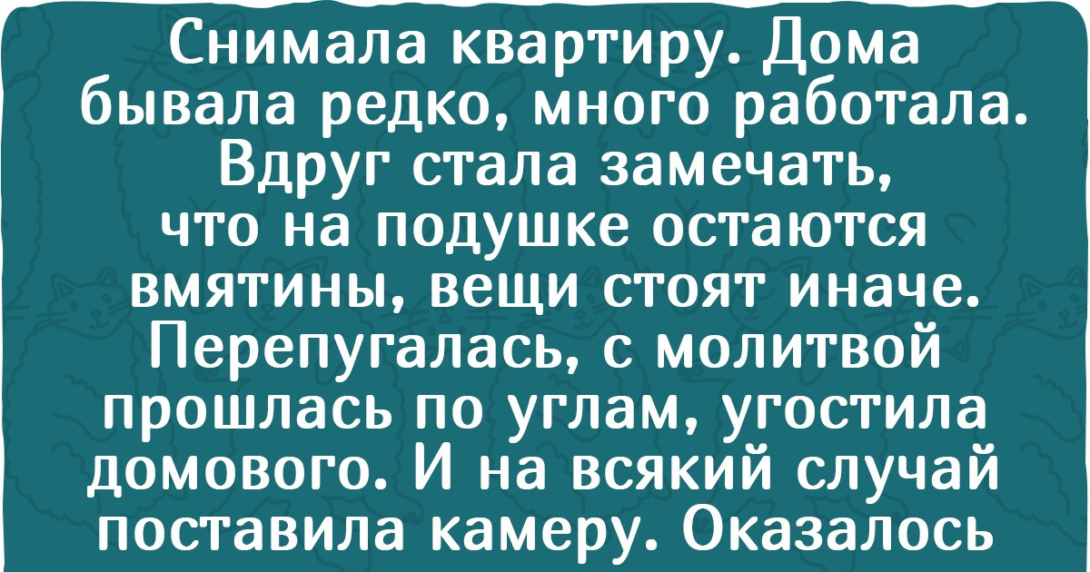 20 человек, которые хотели просто снять жилье, а получили впечатлений по полной программе 20 человек, которые хотели просто снять жилье, а получили впечатлений по полной программе