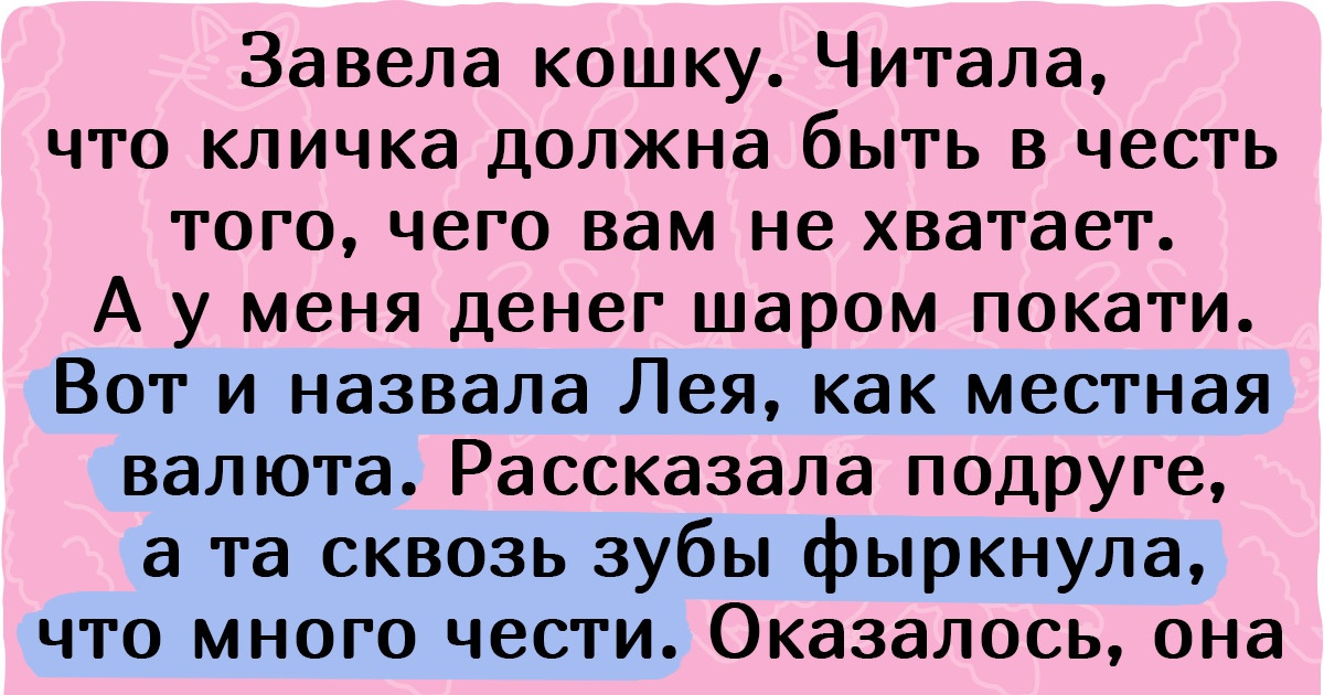 15+ питомцев, которым дали такие клички, что во дворе стыдно позвать 15+ питомцев, которым дали такие клички, что во дворе стыдно позвать