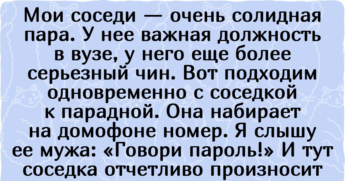 20 человек, которым достались такие соседи, что с ними хоть многосерийную драму снимай