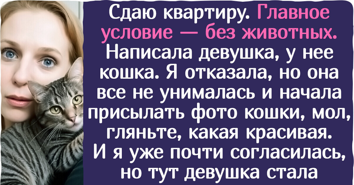 10+ человек, которые просто хотели сдать квартиру, а получили головную боль