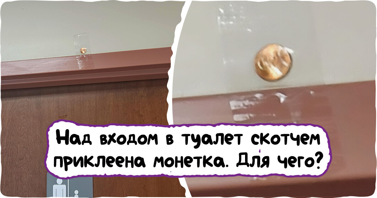 Проверьте свою сообразительность и попробуйте угадать, для чего нужны эти странные вещи