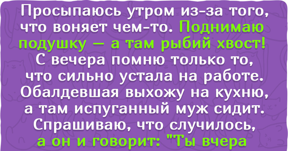 15+ женщин, которые убеждены, что тесты на беременность нужно продавать только вместе с запасом валерьянки 15+ женщин, которые убеждены, что тесты на беременность нужно продавать только вместе с запасом валерьянки