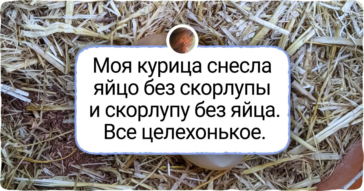 17 фото, которые доказывают, что мир день ото дня все занятнее и занятнее