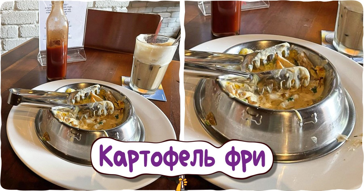 15+ случаев, когда люди поели в ресторане и пришли к выводу, что лучше бы они дома пельменей отварили