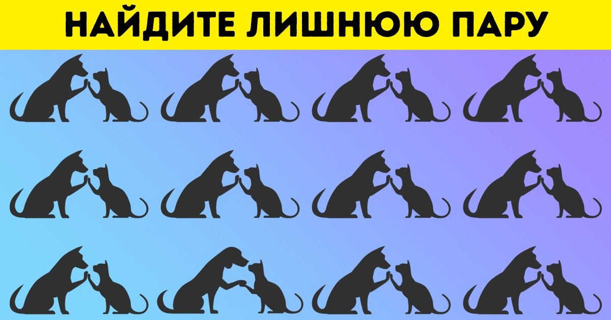 Найдите лишний силуэт на 12 изображениях и прокачайте свой мозг до уровня профи