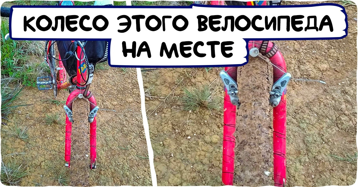20 сбивающих с толку фотографий, которые бросают вызов нашей логике