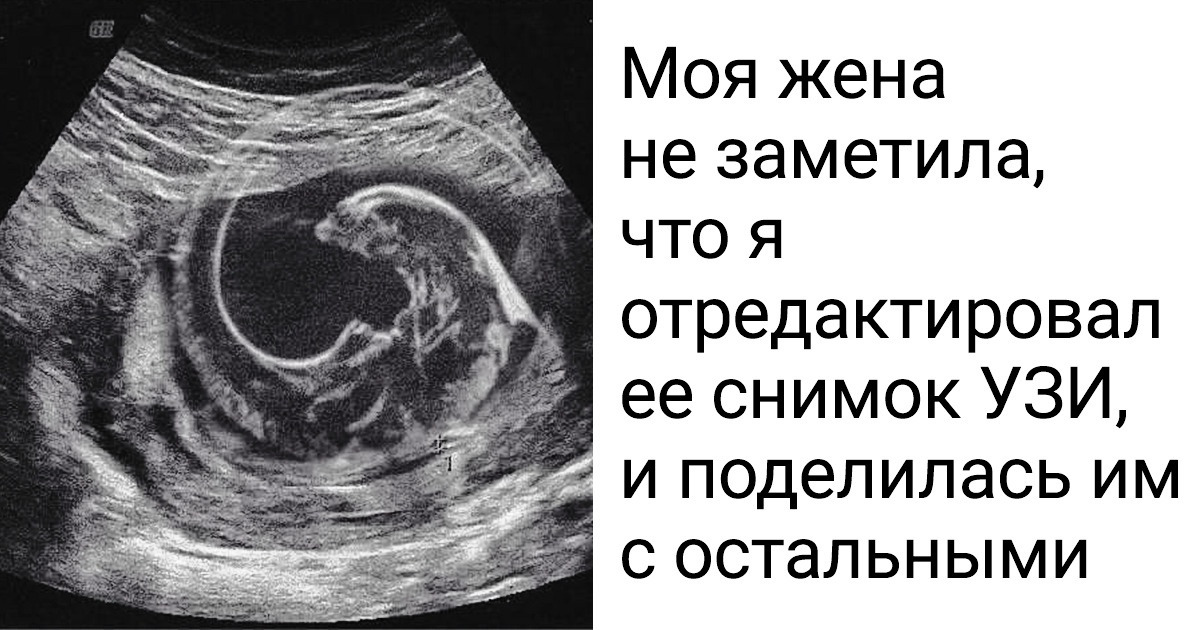 14 пар, чьи отношения строятся на любви и юморе