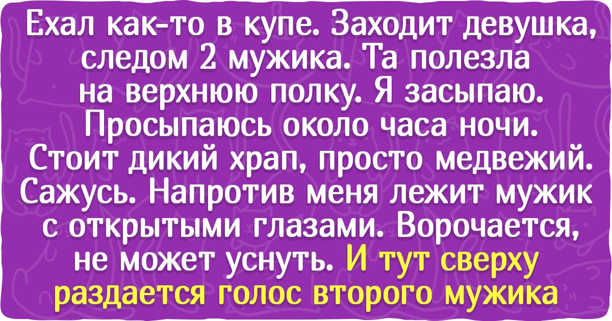 19 человек, которым попались такие непредсказуемые попутчики, что поездка врезалась в память на всю жизнь