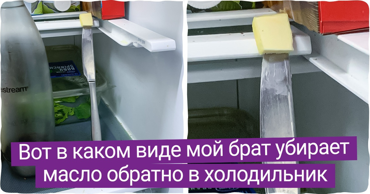 18 бытовых монстров, рядом с которыми даже моргнуть страшно — они и в это мгновение что-нибудь учудят