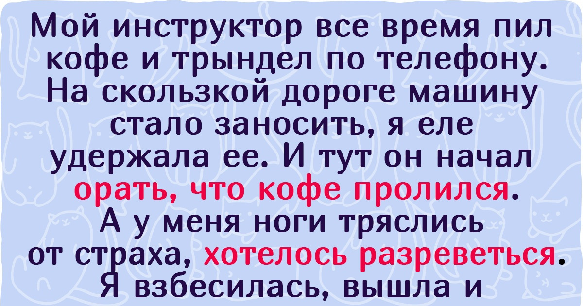 15 человек, которые в автошколе прошли заодно и школу жизни 15 человек, которые в автошколе прошли заодно и школу жизни