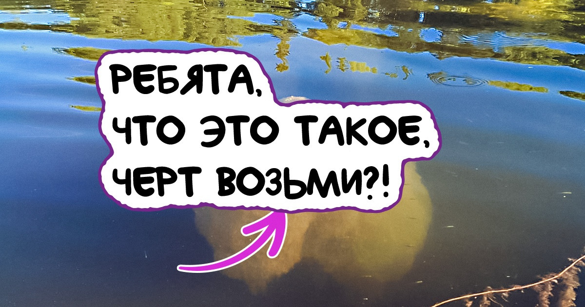 20+ вещей, в существование которых поверить сложнее, чем в единорогов