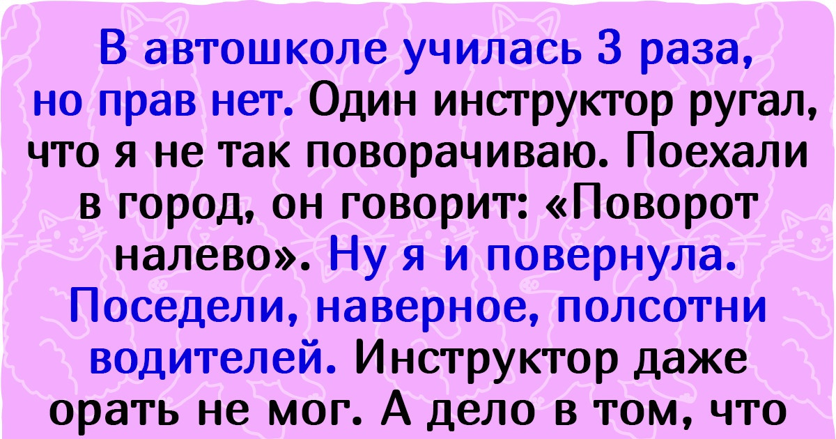 15 историй, доказывающих, что в автошколе учат не только крутить баранку, но и не терять лица в курьезных ситуациях