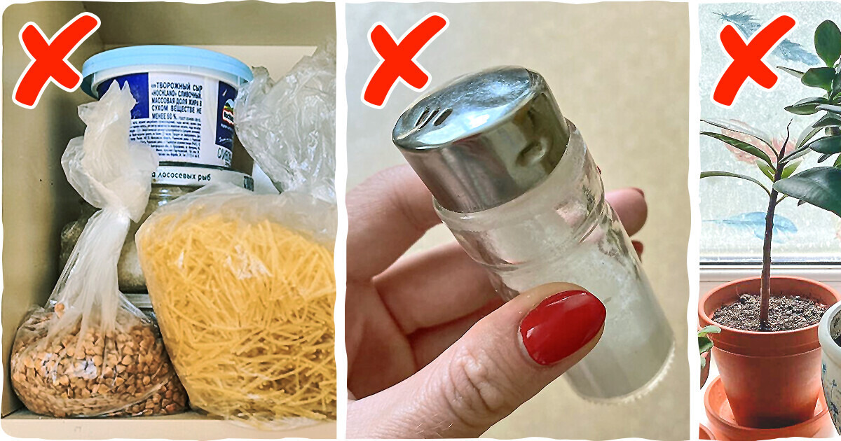 12 вещей, которые делают даже самую вылизанную кухню неопрятной и захламленной 12 вещей, которые делают даже самую вылизанную кухню неопрятной и захламленной