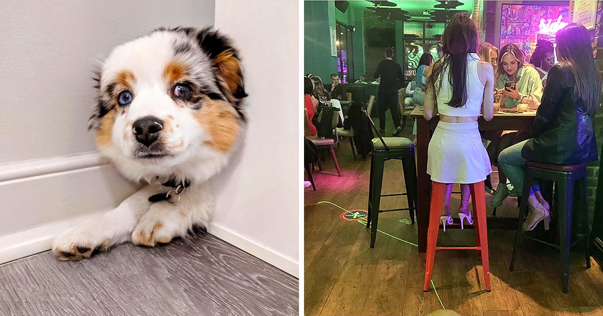 18 фотографий, которые проверят ваш разум в деле