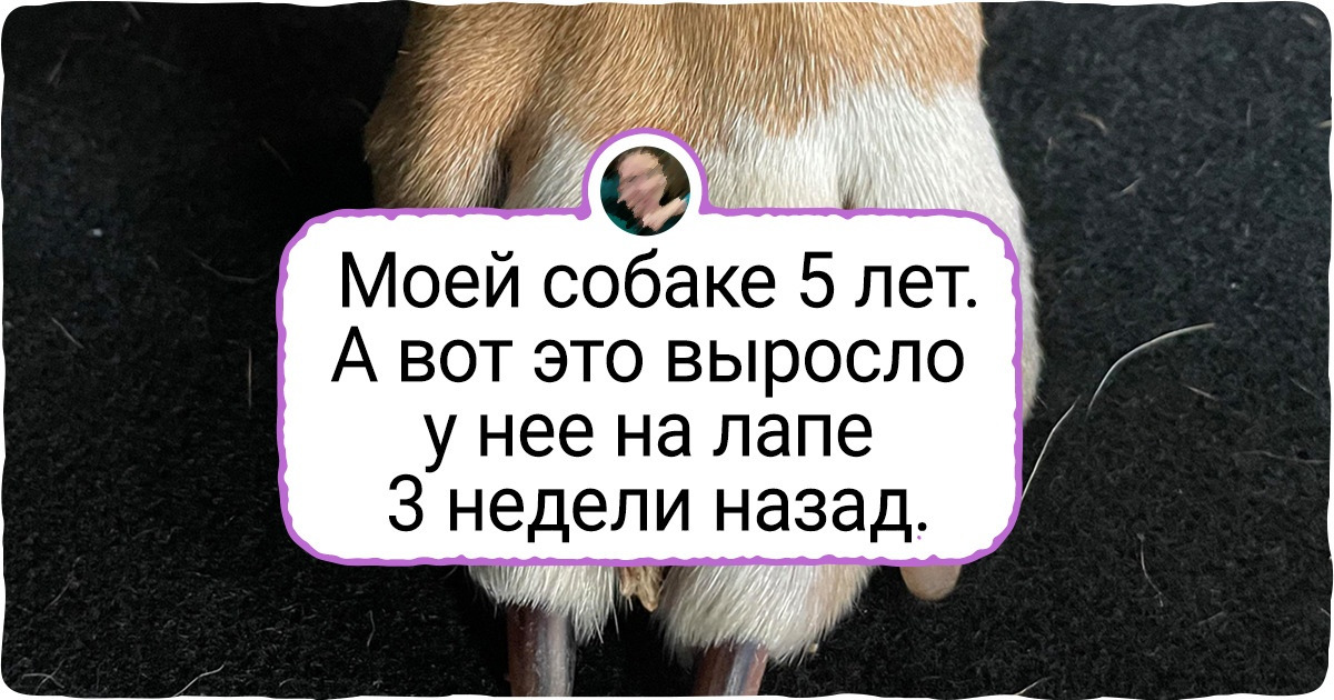 15 фото, которые без слов объяснят то, о чем не смогли внятно рассказать ни учителя, ни умные книжки 15 фото, которые без слов объяснят то, о чем не смогли внятно рассказать ни учителя, ни умные книжки