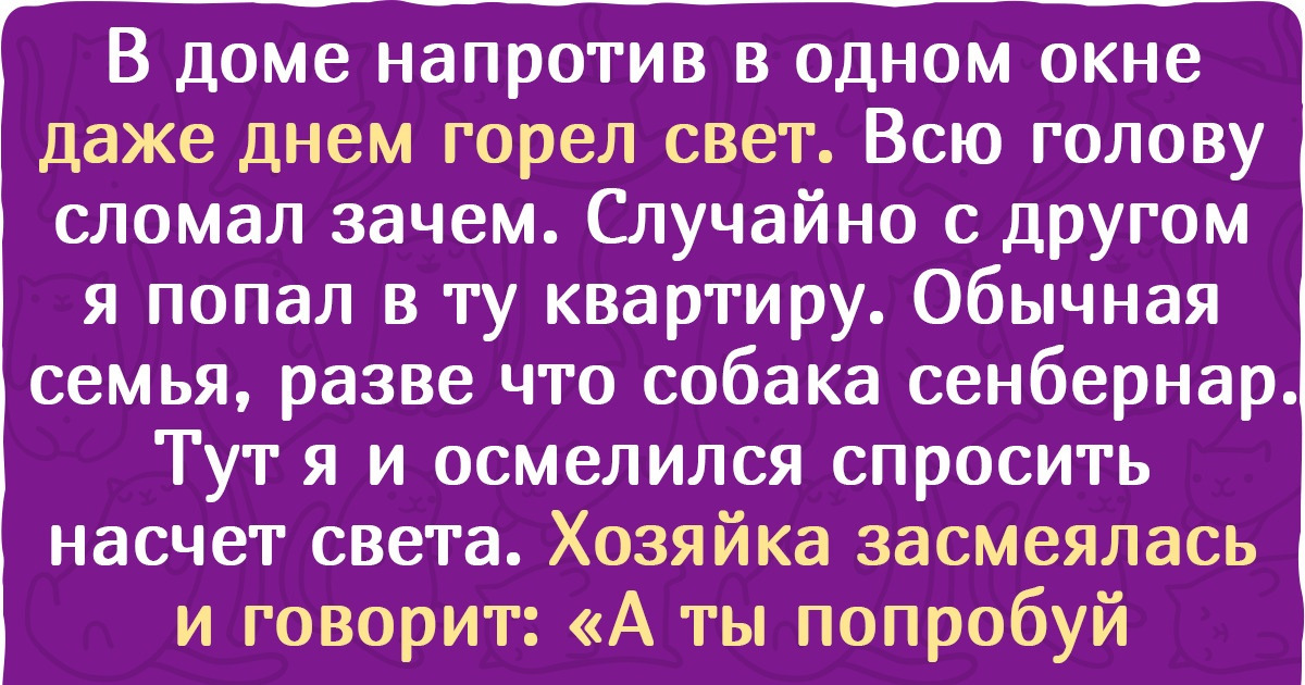 15 историй о мохнатых, которые докажут, что жить с ними сложно, но без них ну просто никак