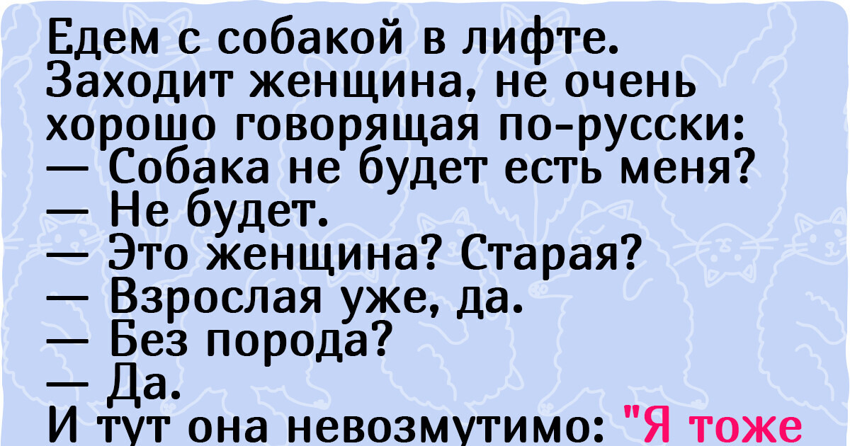 14 историй, которые произошли с обычными людьми при весьма необычных обстоятельствах 14 историй, которые произошли с обычными людьми при весьма необычных обстоятельствах