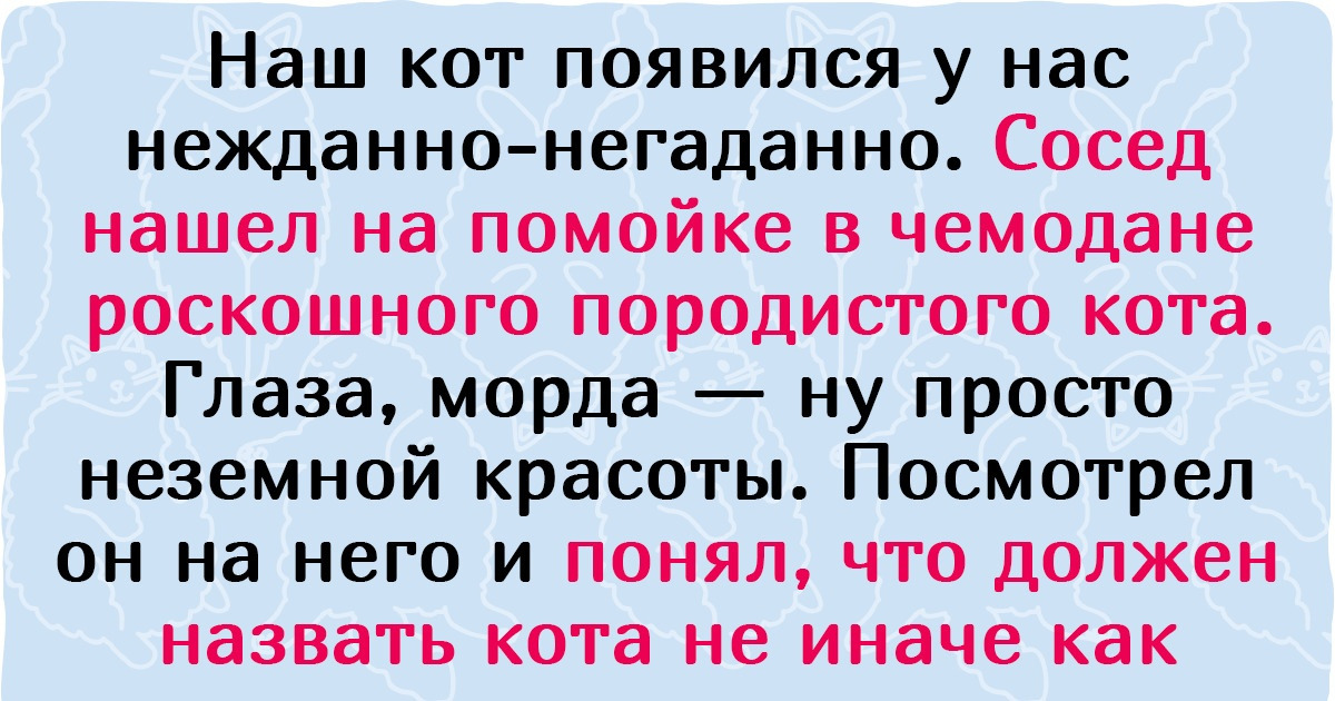 15 человек рассказали о необычных кличках своим питомцев, услышав которые все округляют глаза