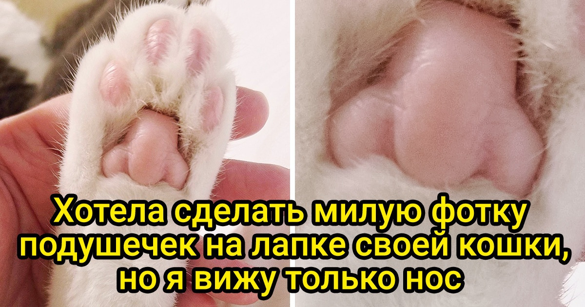 15 человек, чей разум игриво их обманул
