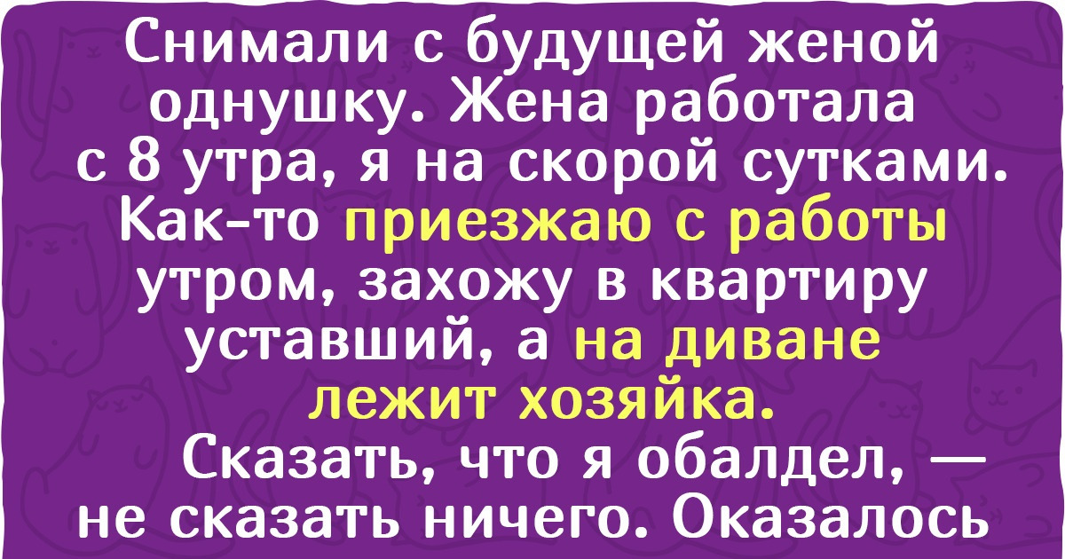 15+ историй о том, что снять или сдать квартиру сложнее, чем победить в «Форт Боярд» 15+ историй о том, что снять или сдать квартиру сложнее, чем победить в «Форт Боярд»