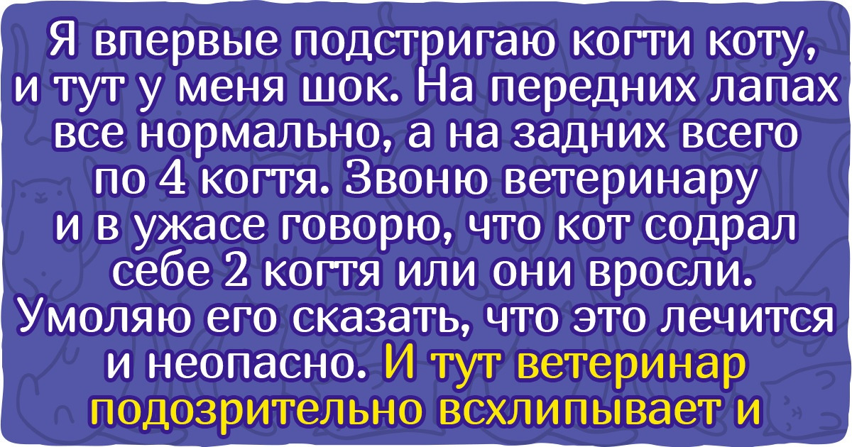 20+ ветеринарных историй о нелепых, но серьезных ошибках, которые совершают даже самые отъявленные любители питомцев
