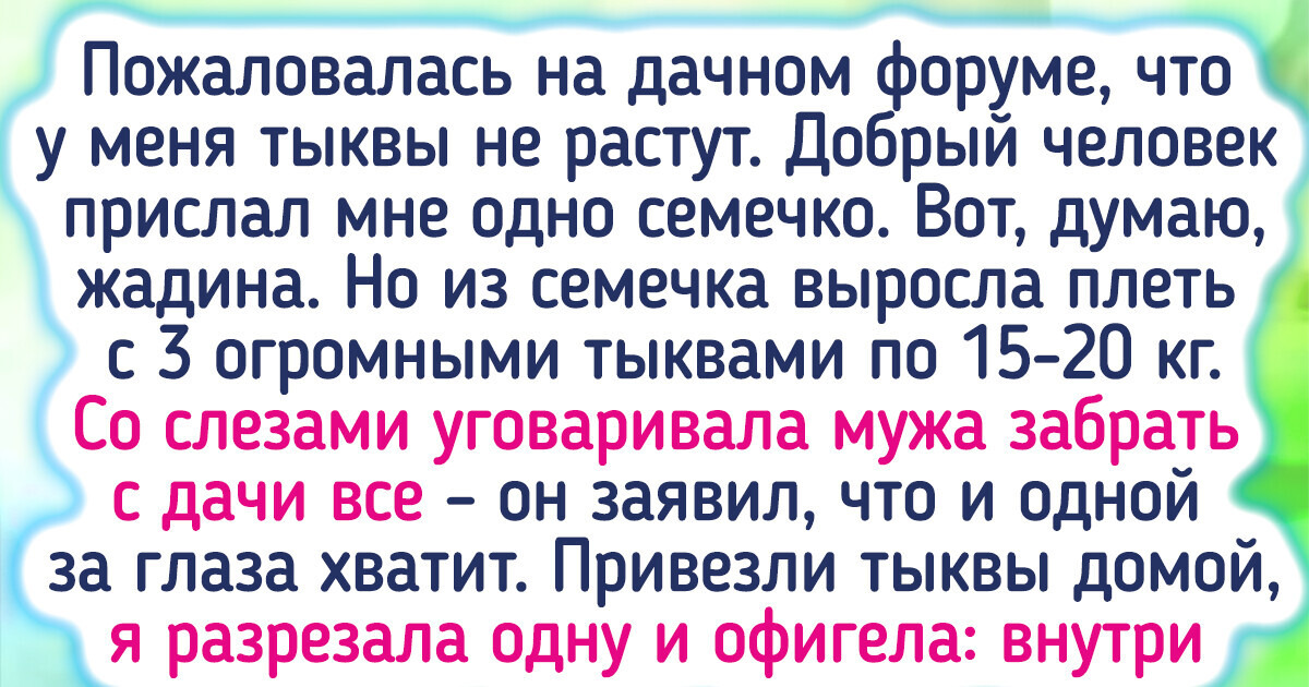 16 случаев, когда в огороде такое выросло, что даже бывалые дачники глазам не поверят 16 случаев, когда в огороде такое выросло, что даже бывалые дачники глазам не поверят