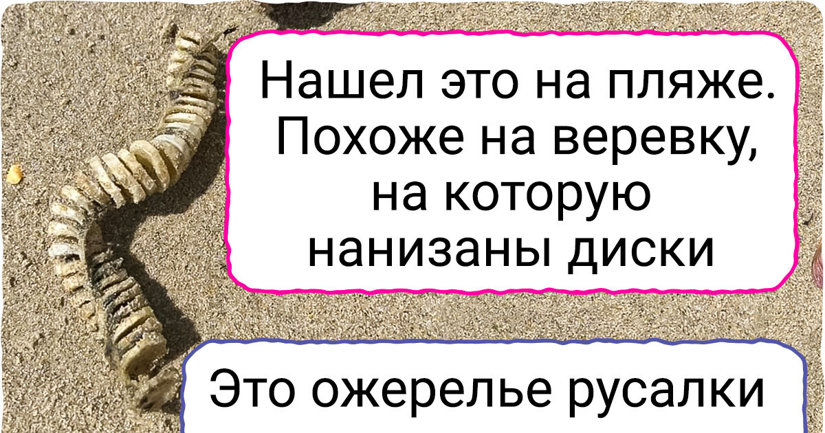 16 фото, на которых происходит не пойми что. Но мы нашли объяснение