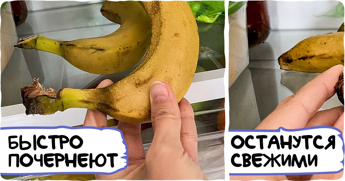 14 способов хранения продуктов, которые кажутся очередным бредом из интернета, но реально работают 14 способов хранения продуктов, которые кажутся очередным бредом из интернета, но реально работают
