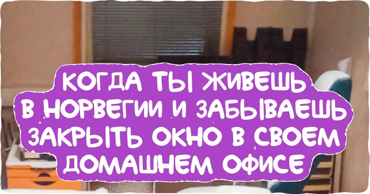 Айфон замерз я внутрь не положил