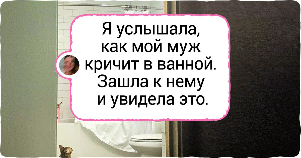 20+ фотодоказательств того, что нет зрелища милее, чем провинившиеся питомцы