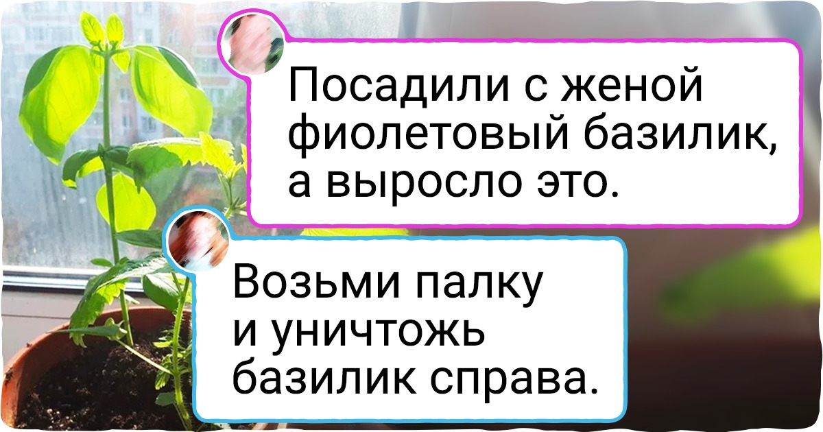 18 мужчин, которым в саду и огороде гораздо комфортнее, чем в качалке или за просмотром сериалов