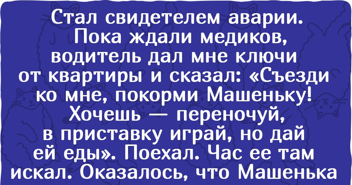 20 трогательных историй о животных, после прочтения которых срочно захочется приютить маленькое пушистое чудо 20 трогательных историй о животных, после прочтения которых срочно захочется приютить маленькое пушистое чудо