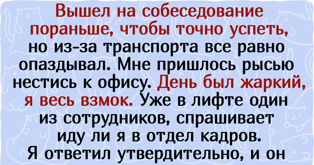 20 трогательных историй, после которых в груди станет тепло, как в гнезде с котятами 20 трогательных историй, после которых в груди станет тепло, как в гнезде с котятами