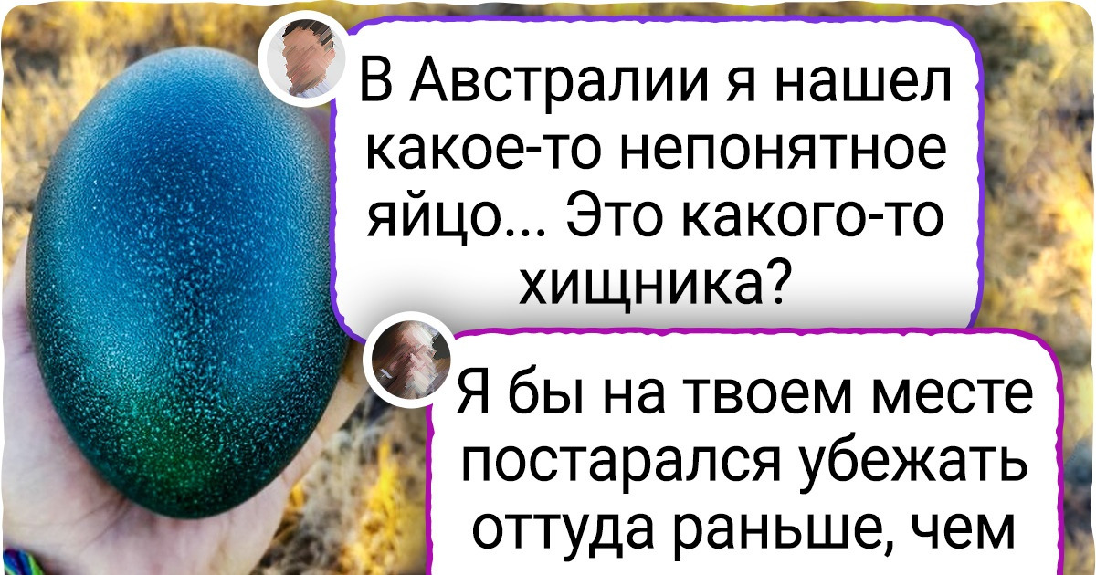 17 человек, которые привезли из путешествия не какой-то там магнитик, а по-настоящему крутую штуку