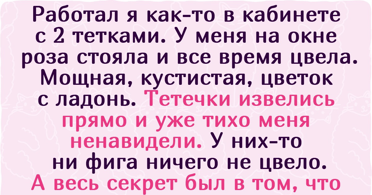 15 доказательств того, что порой мужские будни похожи на несусветный цирк 15 доказательств того, что порой мужские будни похожи на несусветный цирк