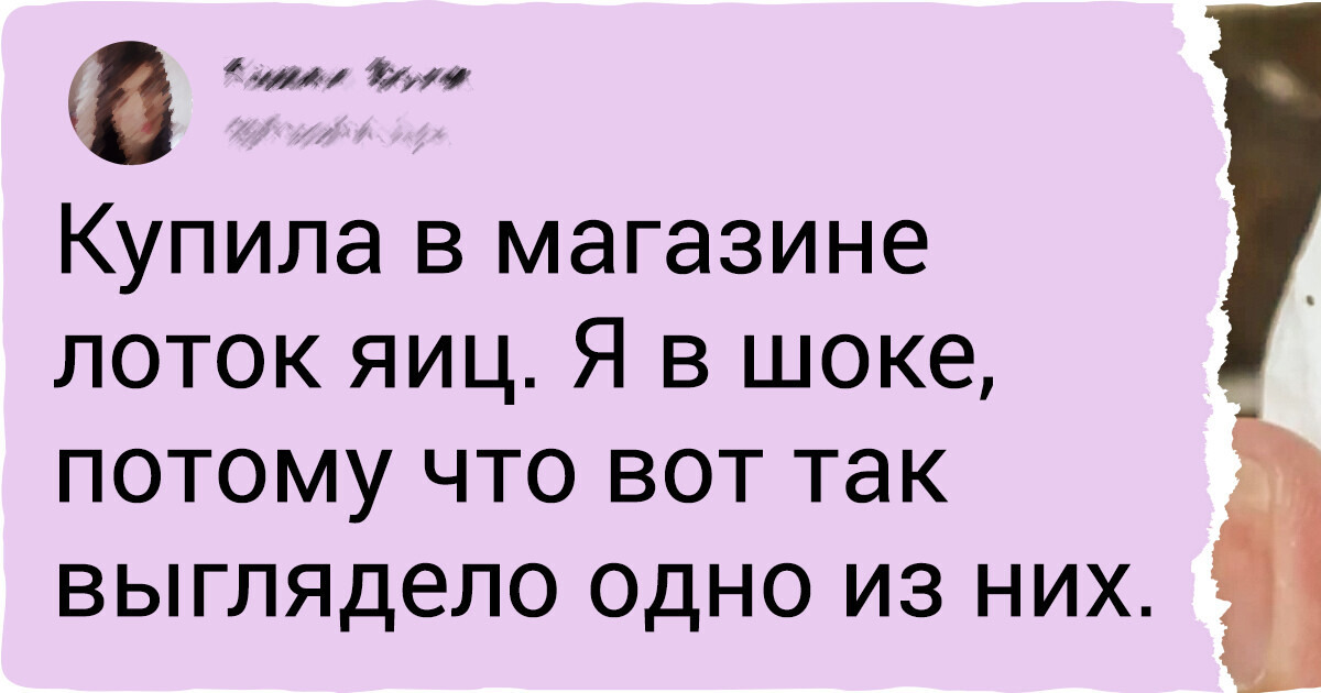 17 доказательств того, что в обычном магазине можно купить не только хлеба, но и зрелищ