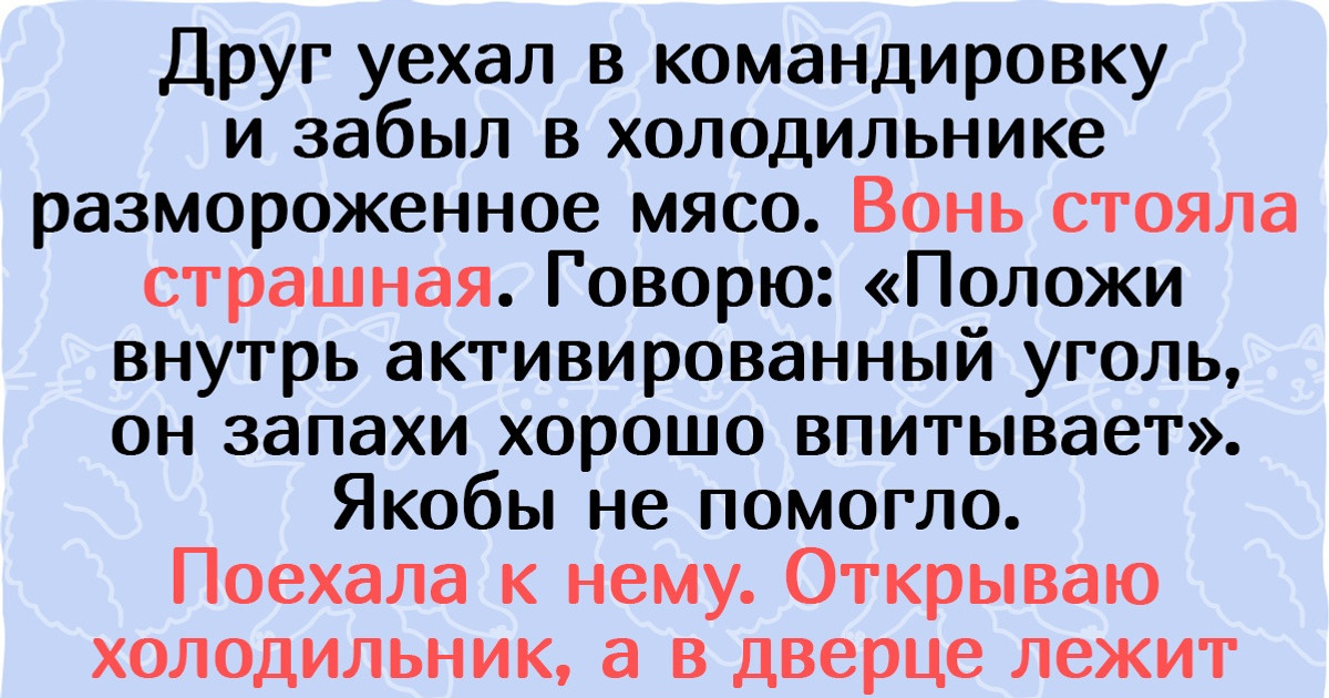 15+ примеров людской логики, от которых так и тянет закатить глаза