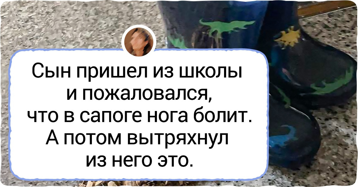 17 детишек, которые такое откололи, что у взрослых весь запас прочности за один раз и закончился