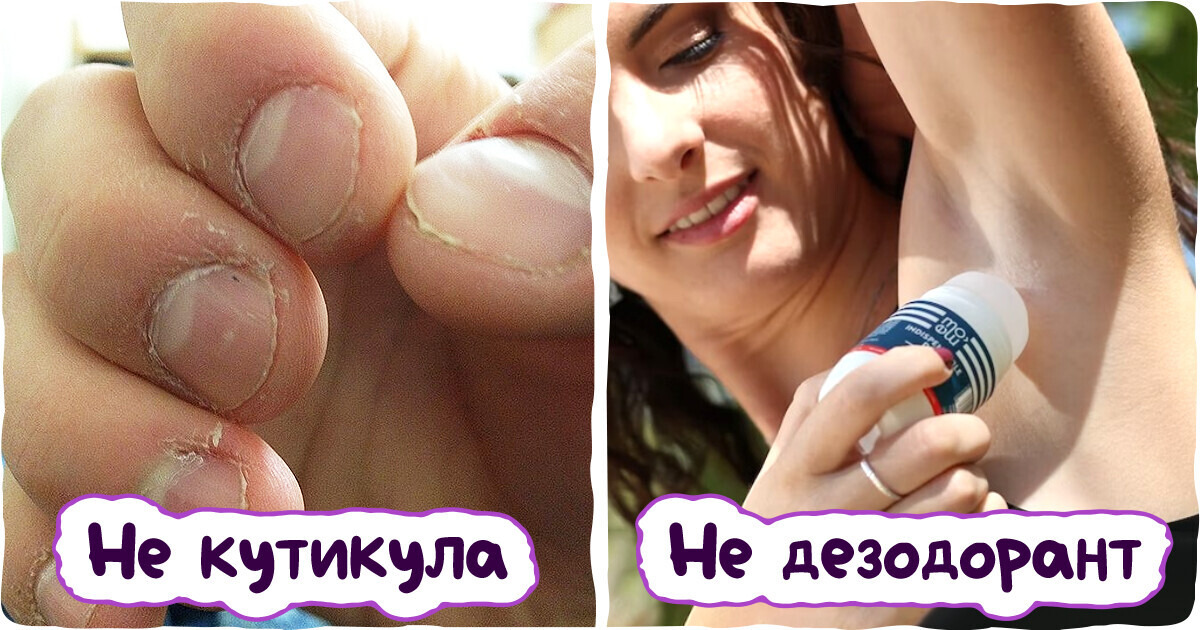 13 пар вещей, которые мы видим каждый день, но до сих пор путаем их названия