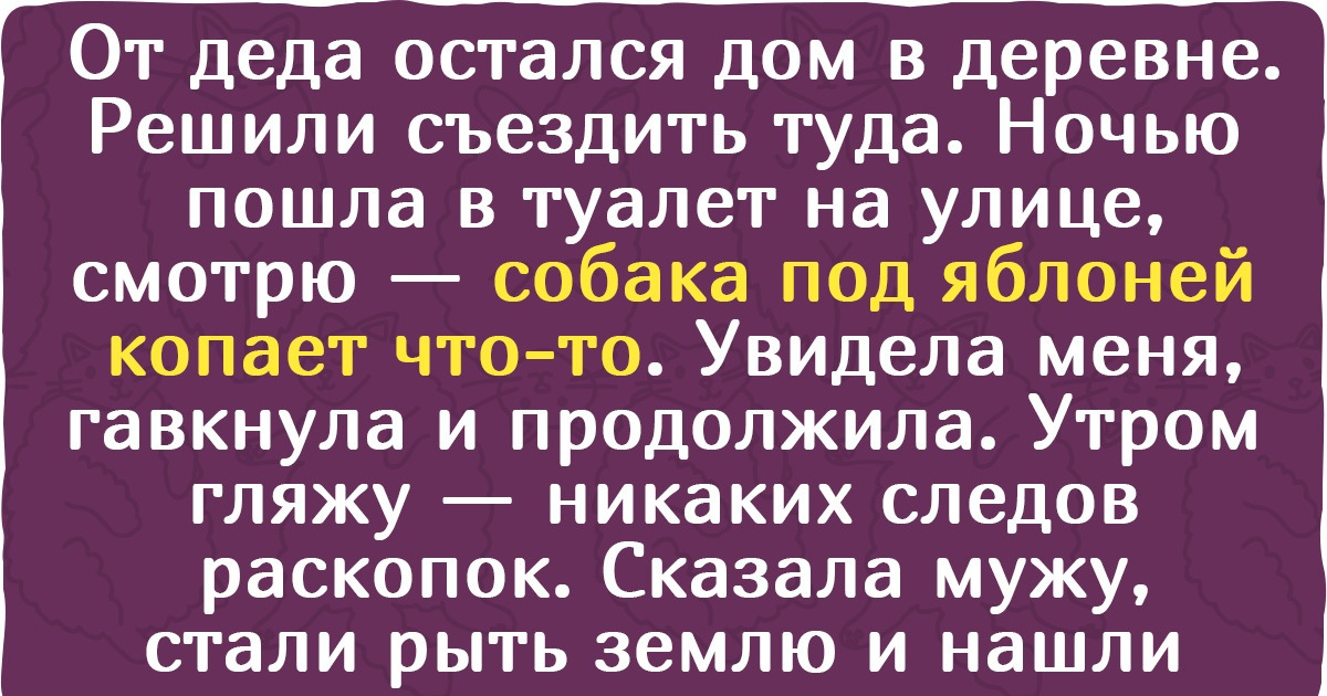 12 мистических историй, с которыми хоть на «Битву экстрасенсов» отправляйся 12 мистических историй, с которыми хоть на «Битву экстрасенсов» отправляйся