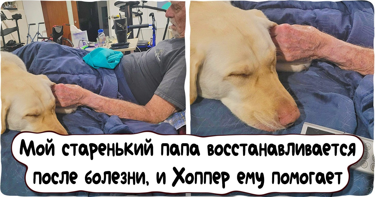 20+ фотоисторий про животных, от которых на душе становится теплее