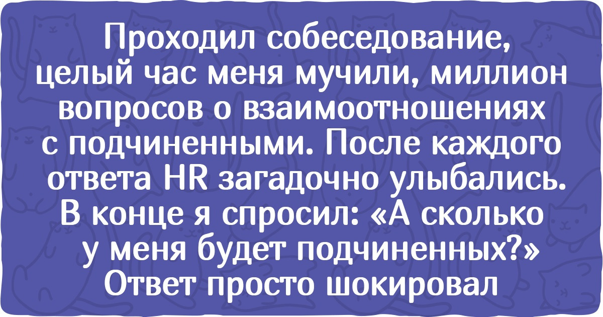 17 человек, которые пришли на собеседование, а попали на аттракцион неслыханной глупости