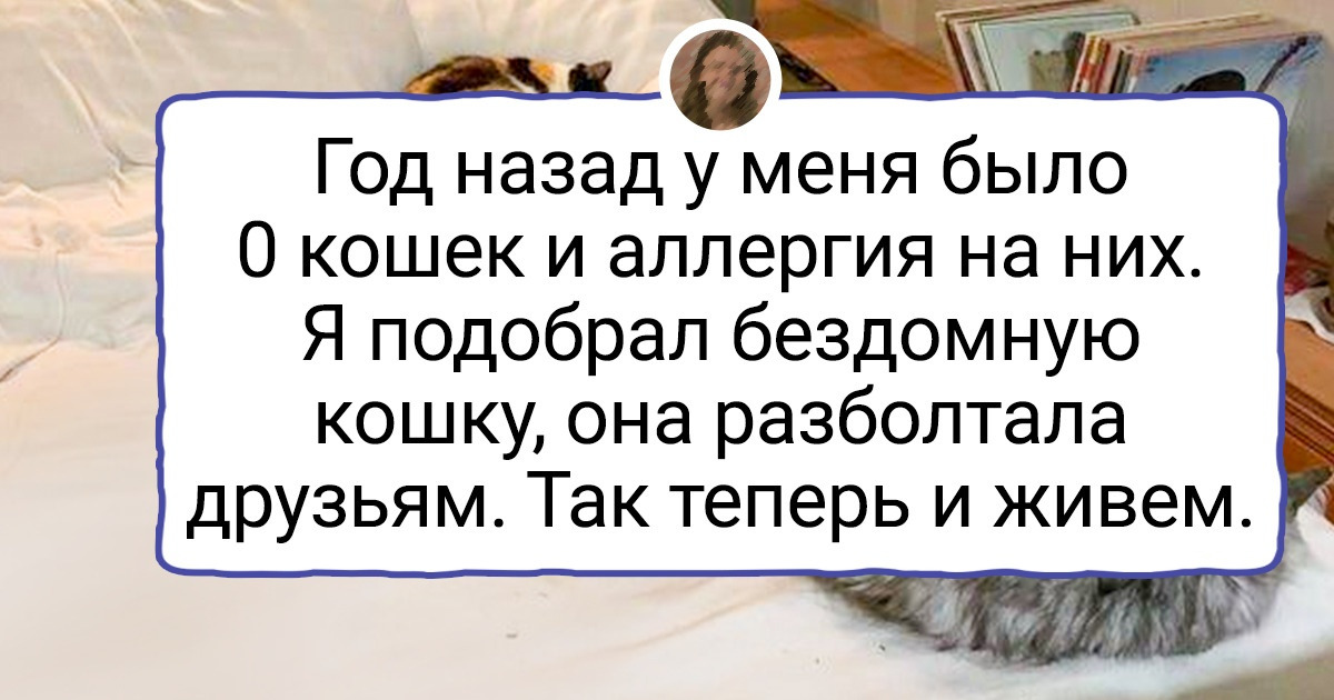 20 человек, которым точно можно присвоить титул «Золотое сердце и светлая душа»