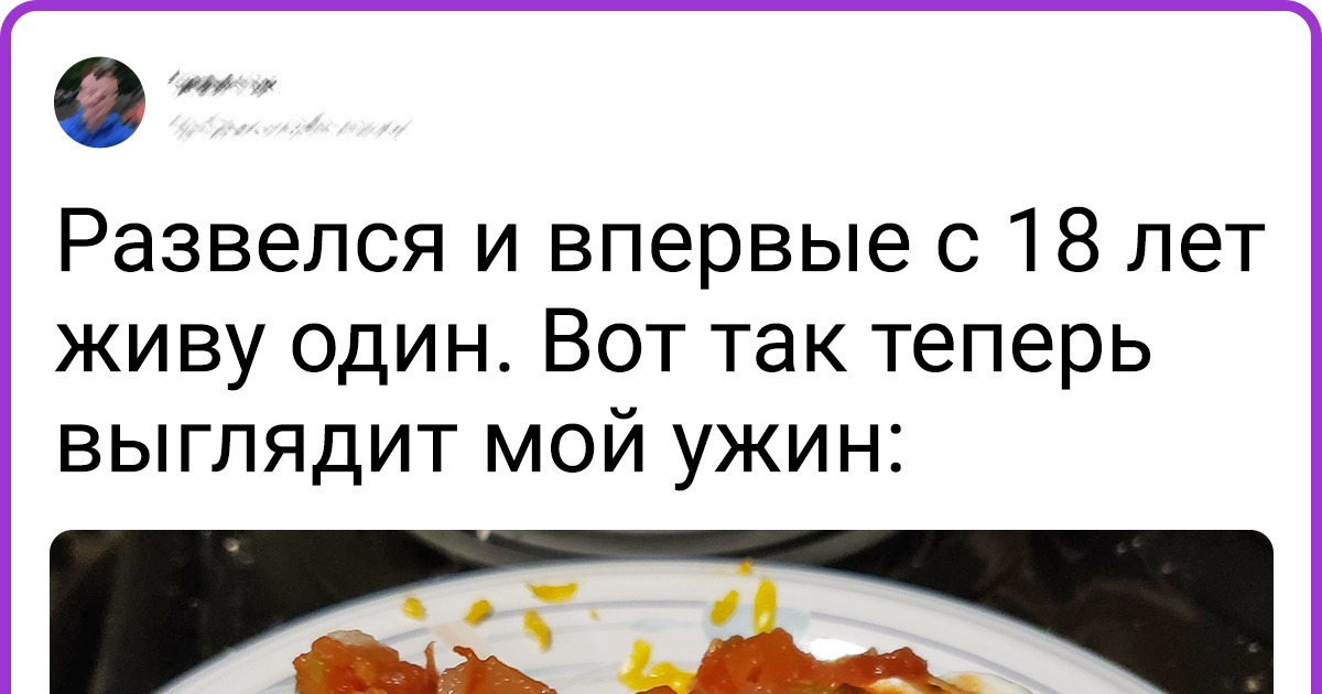17 человек сварганили такие экзотические яства, что даже их питомцы-попрошайки ушли бы с кухни